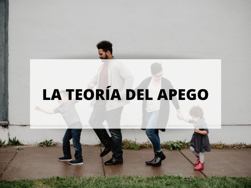 Teoría del apego: El vínculo según Bowlby